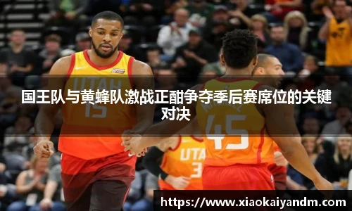 国王队与黄蜂队激战正酣争夺季后赛席位的关键对决
