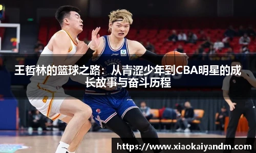 王哲林的篮球之路：从青涩少年到CBA明星的成长故事与奋斗历程